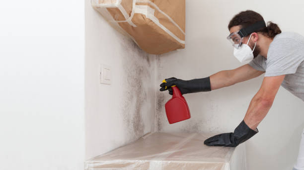 Professional Mold Testing technician working in Sadsburyville, PA