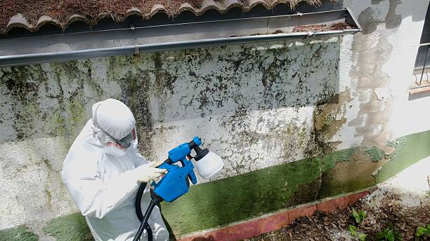 Trusted Mold Testing service in Sadsburyville, PA - Cheap Mold Removal